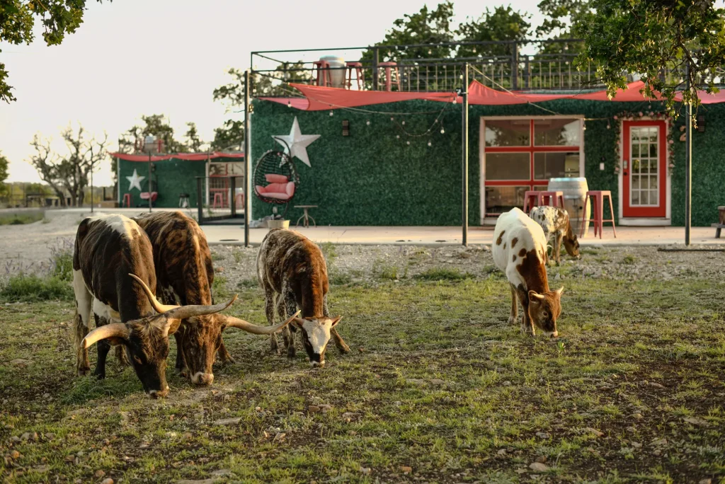 Discover the Unique Charm of a Bed and Breakfast Container in Fredericksburg, Texas​