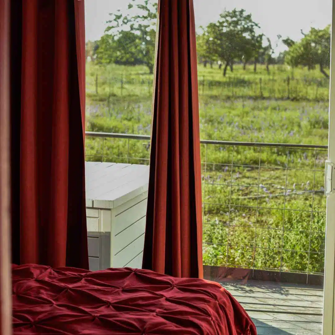 Best Bed and Breakfast in Fredericksburg Texas — photo 59 of 60