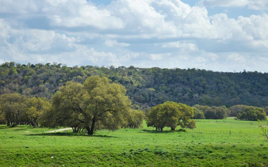 Activities in Fredericksburg, Texas