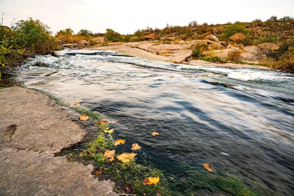 Kayaking & Fishing on the Pedernales River​
