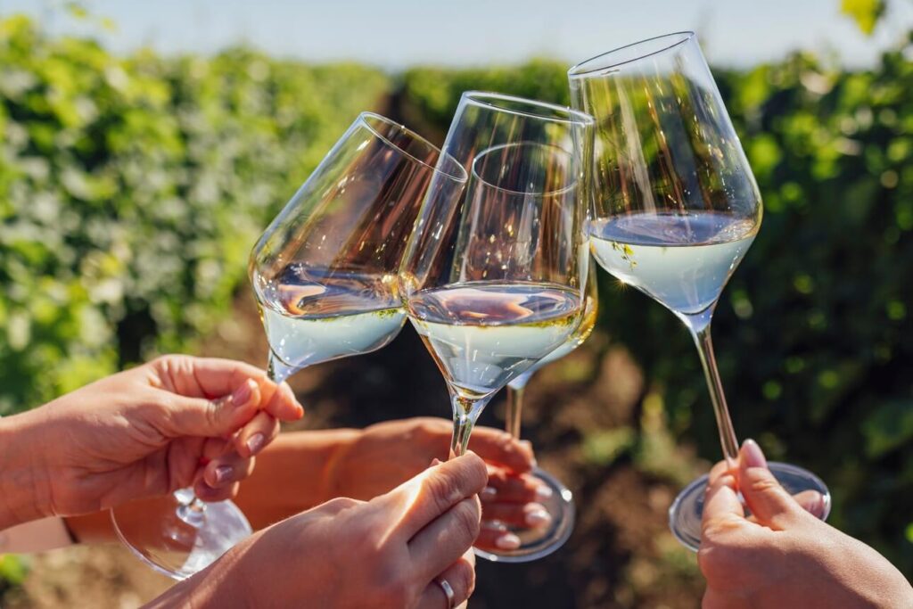 wine tour fredericksburg