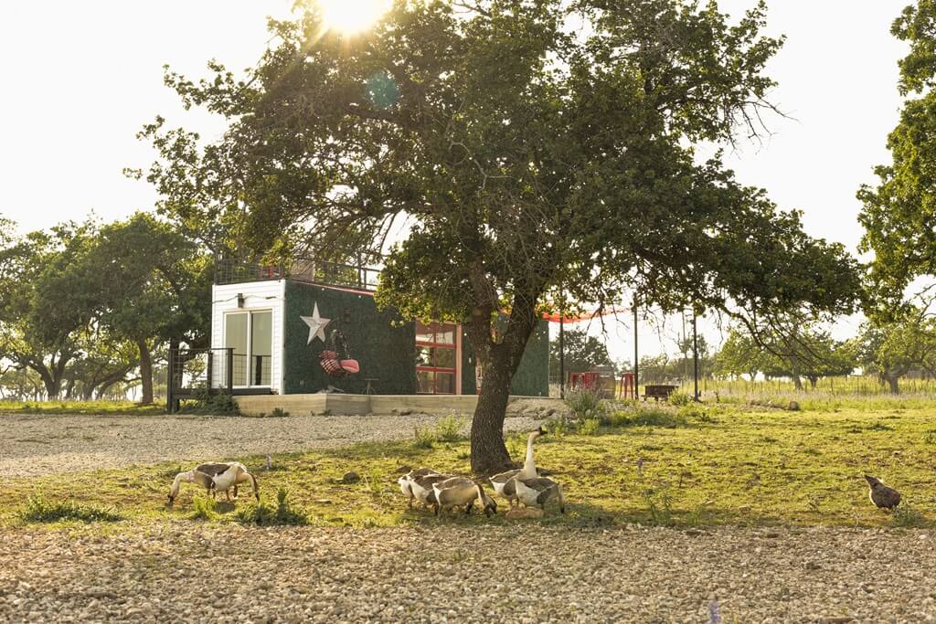 Top Dude Ranches in Texas: Unique Western Vacations fredericksburg ranches