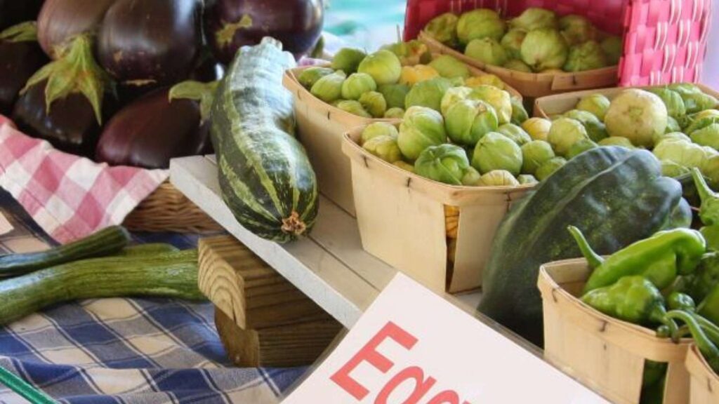 Fredericksburg Spring Summer Farmers Market 2025 Fredericksburg Spring Summer Farmers Market 2025