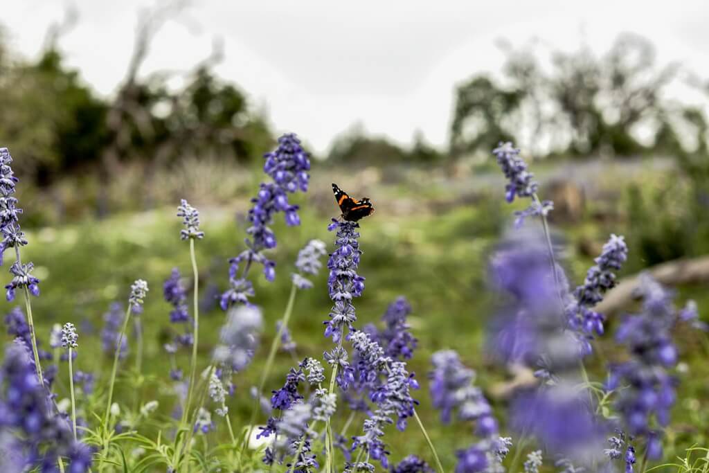 All Inclusive Texas Getaways for Ultimate Relaxation all inclusive texas