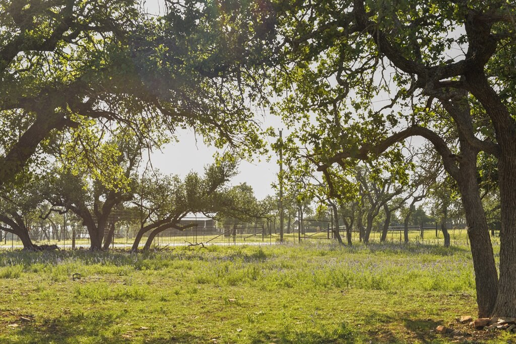 Best Airbnb to Stay near Wineries in Fredericksburg Texas