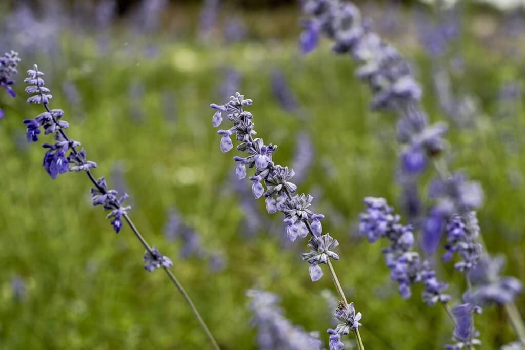 Best Place To Stay For Families In Fredericksburg Texas Best Airbnbs To Stay For Families In Fredericksburg Texas
