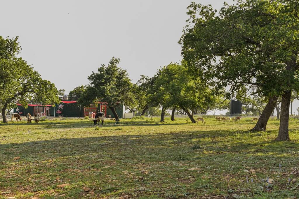 Best BNB to Stay near Wineries in Fredericksburg Texas