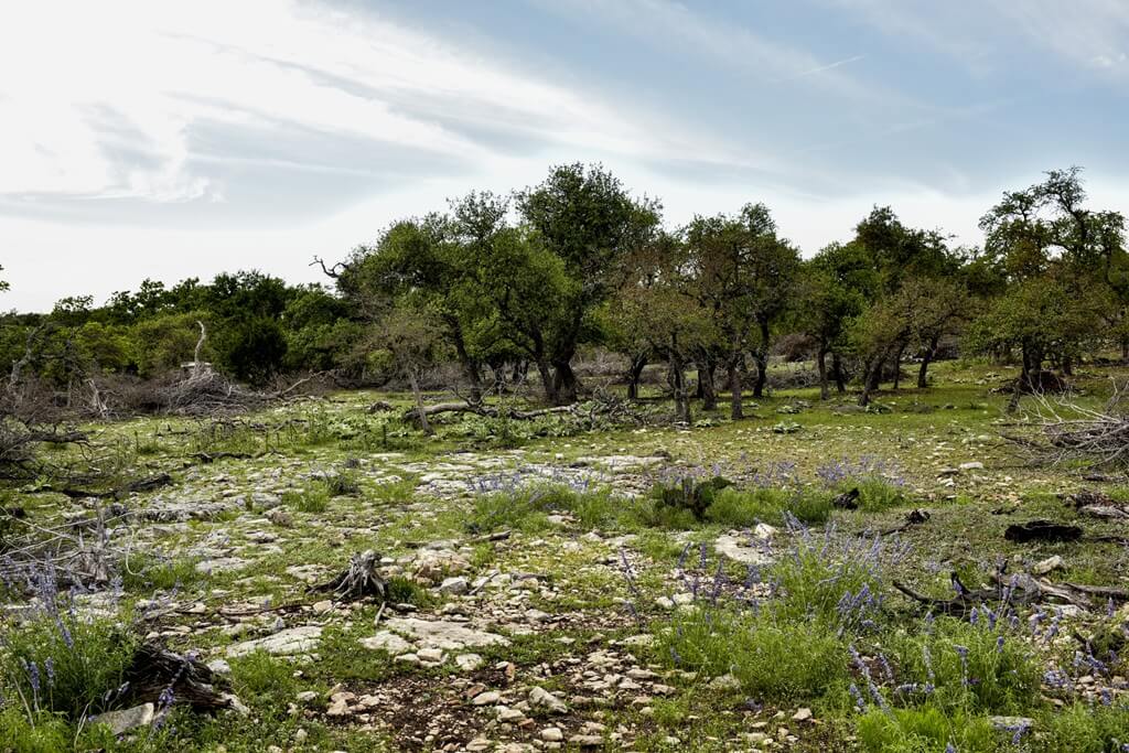 Best Place To Stay With An RV In Fredericksburg Texas Best BNBs To Stay With An RV In Fredericksburg Texas