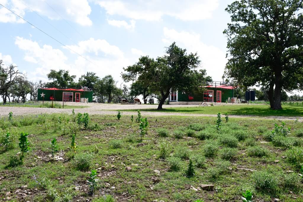 Best Bed And Breakfasts To Stay at For Wine Tours In Fredericksburg Texas