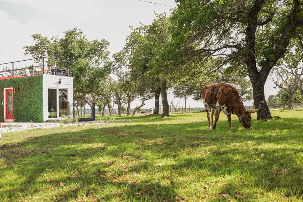 Best Place To Stay For Families In Fredericksburg Texas Best Bed And Breakfasts To Stay For Families In Fredericksburg Texas
