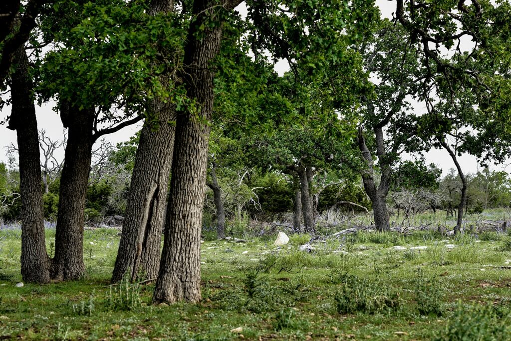 Best Place To Stay For Proposals In Fredericksburg Texas Best Bed and Breakfasts to Stay at for Proposals in Fredericksburg Texas