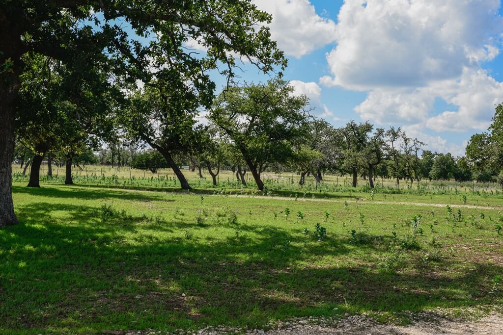 Best Place To Stay For Thanksgiving In Fredericksburg Texas Best Hotel to Stay at for Thanksgiving in Fredericksburg Texas