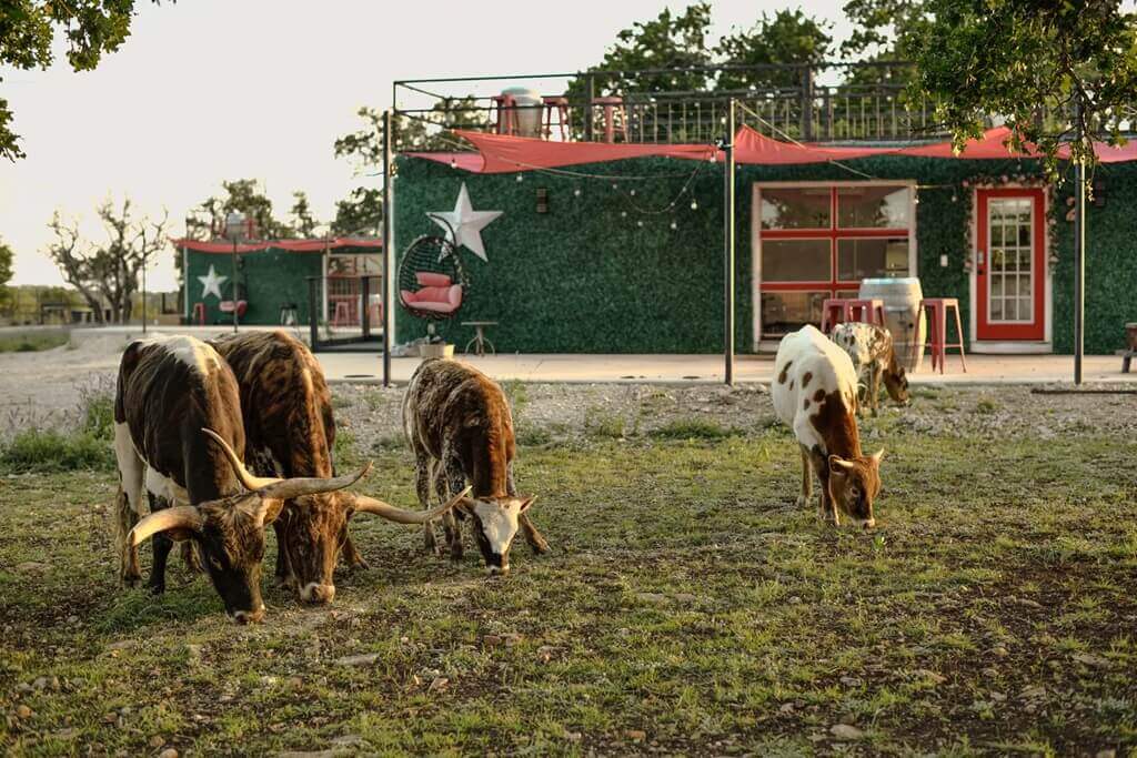 Best Hotels for Groups to stay in Fredericksburg Texas