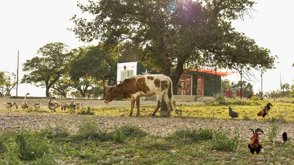 Best Place To Stay For Adults In Fredericksburg Texas