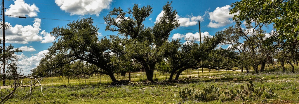 Best Place To Stay For Adventure In Fredericksburg Texas