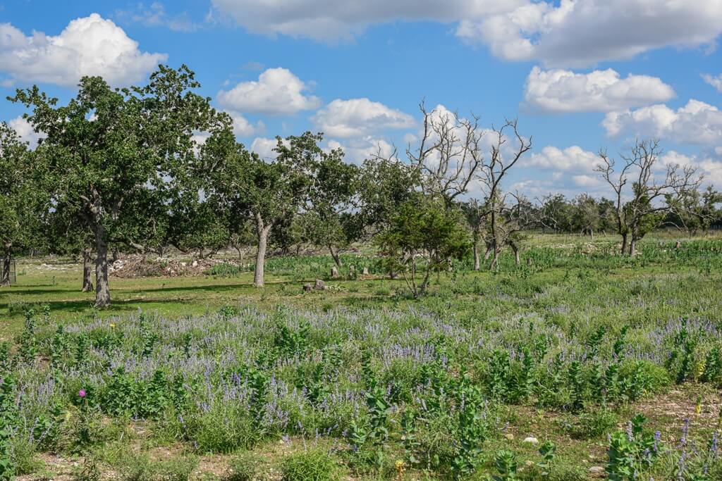 Best Place To Stay For Wine Tours In Fredericksburg Texas