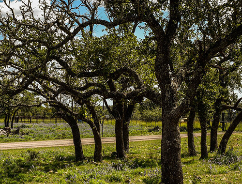 Best Place To Stay With An RV In Fredericksburg Texas Best Vacation Rentals To Stay With An RV In Fredericksburg Texas