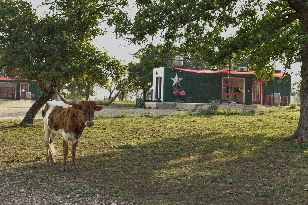 Best Place To Stay With Kids In Fredericksburg Texas Best Vacation Rentals to Stay with Kids in Fredericksburg Texas