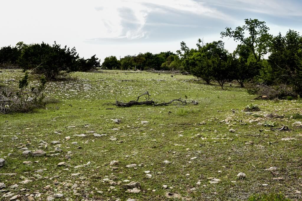Best Vacation Rentals to Stay at for Weddings in Fredericksburg Texas