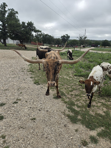 Photo from customer review
