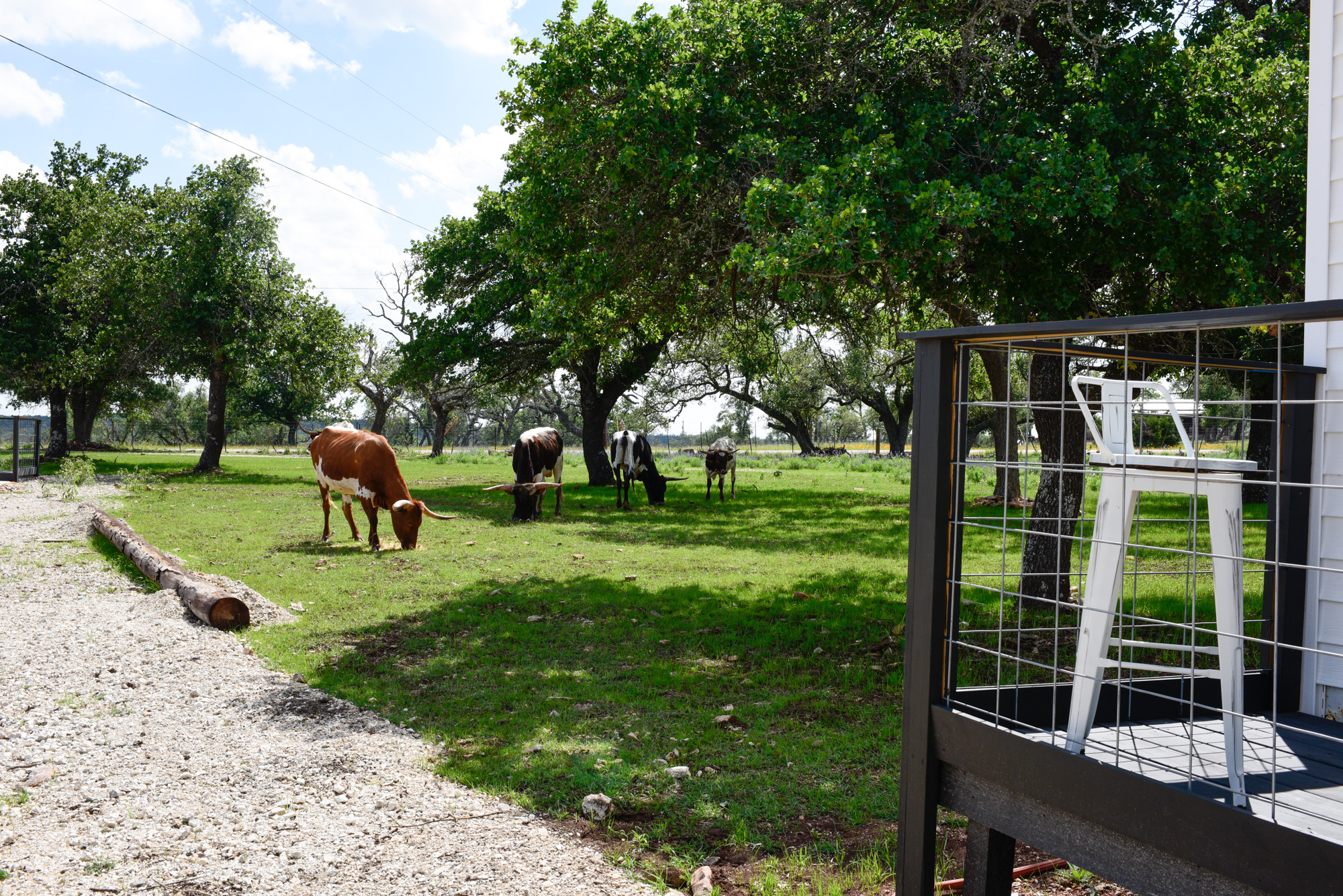 Fredericksburg, TX on a Budget: How to Have an Amazing Trip for Less Unique Places to Stay Fredericksburg