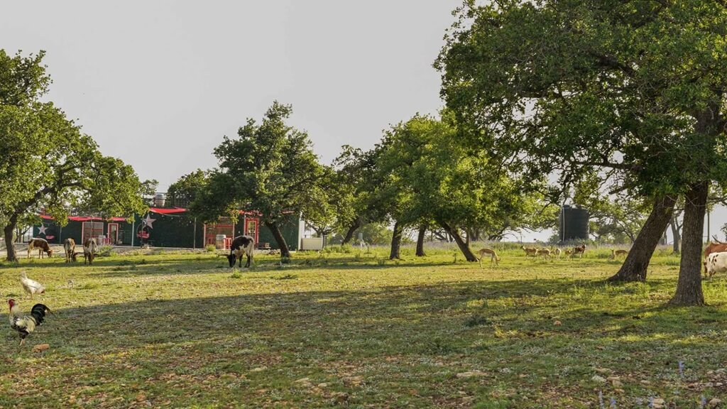 best airbnbs to stay at for bonfires in fredericksburg texas