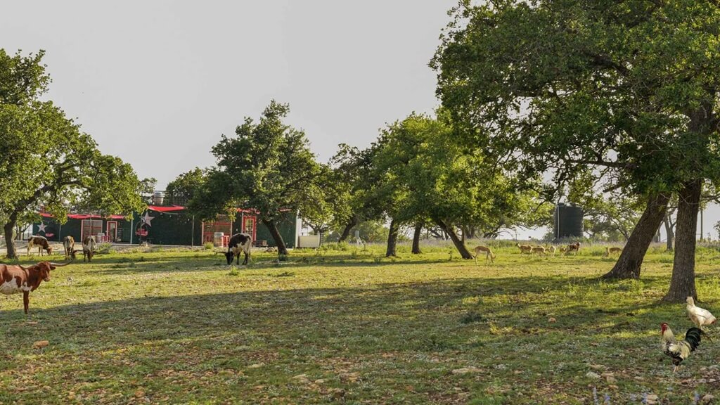 Best Places To Stay For Comet Viewing In Fredericksburg Texas best airbnbs to stay at for comet viewing in fredericksburg texas