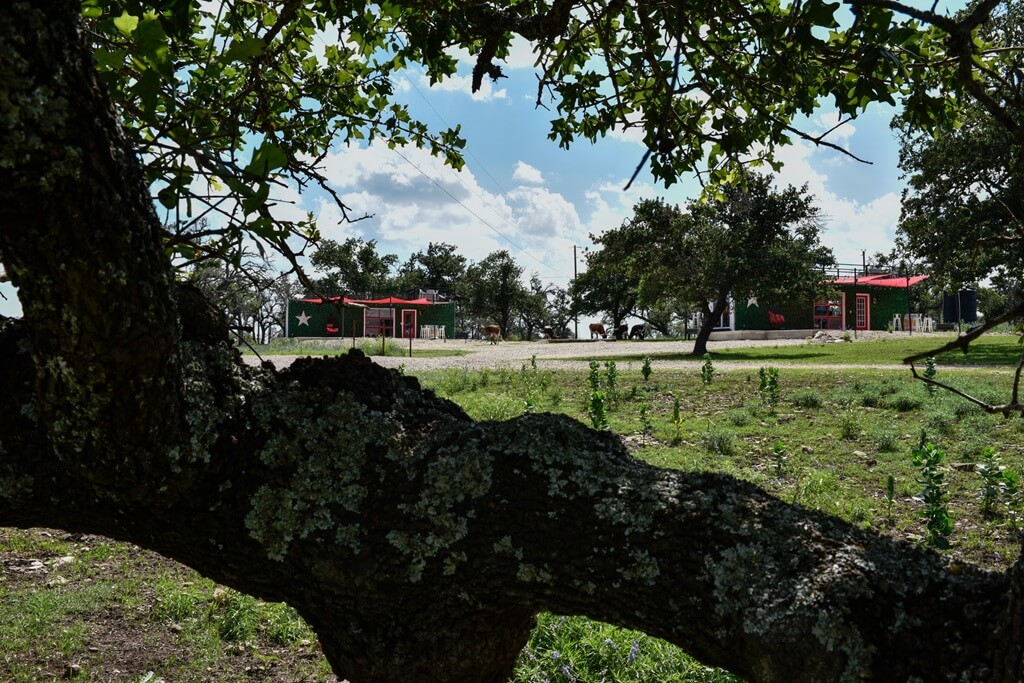 best airbnbs to stay at for gillespie county fair in fredericksburg texas