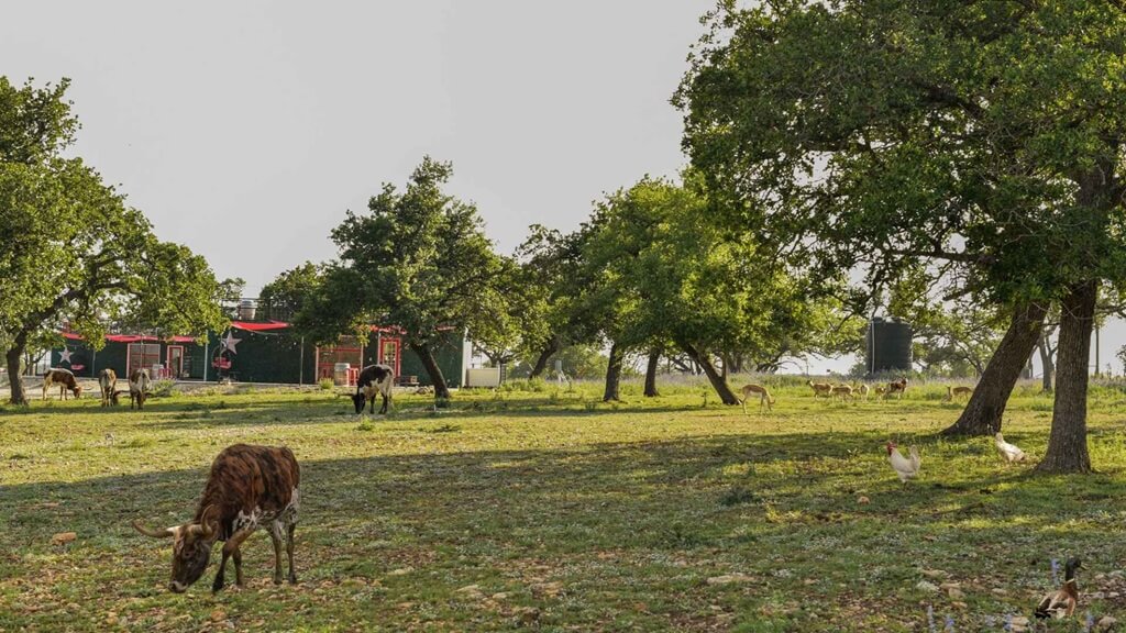 best bed and breakfasts to stay at for gillespie county fair in fredericksburg texas