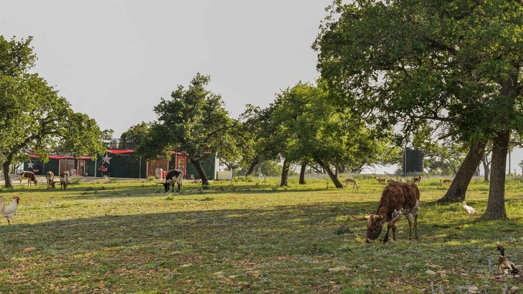 best bed and breakfasts to stay at for the stonewall peach jamboree and rodeo in fredericksburg texas