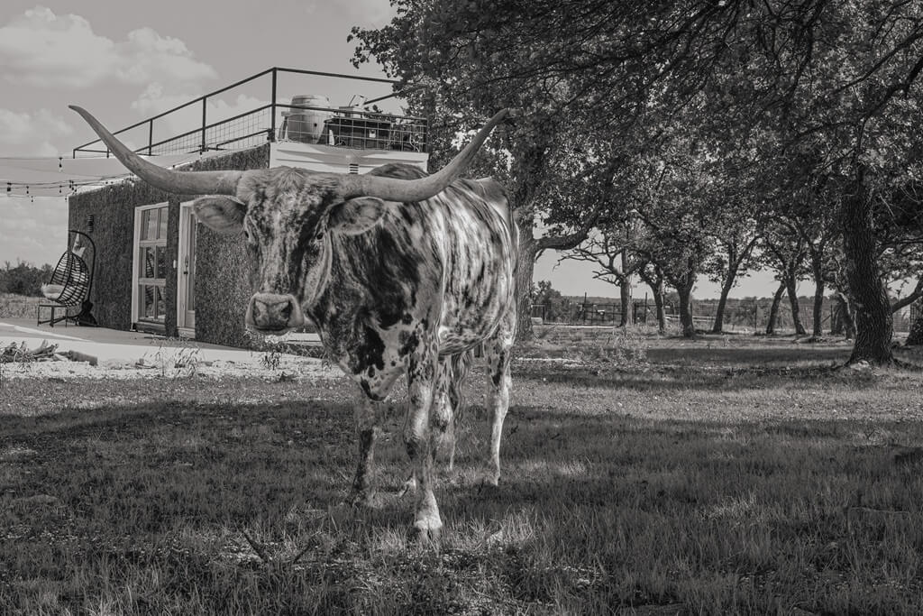 best bnbs to stay at for gillespie county fair in fredericksburg texas