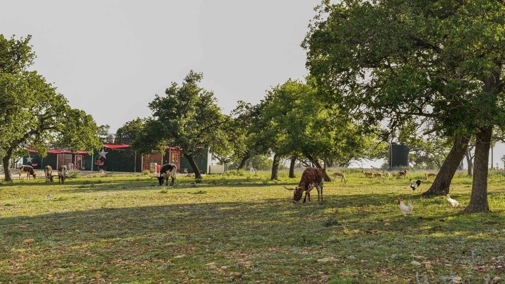 best bnbs to stay at for oktoberfest in fredericksburg texas