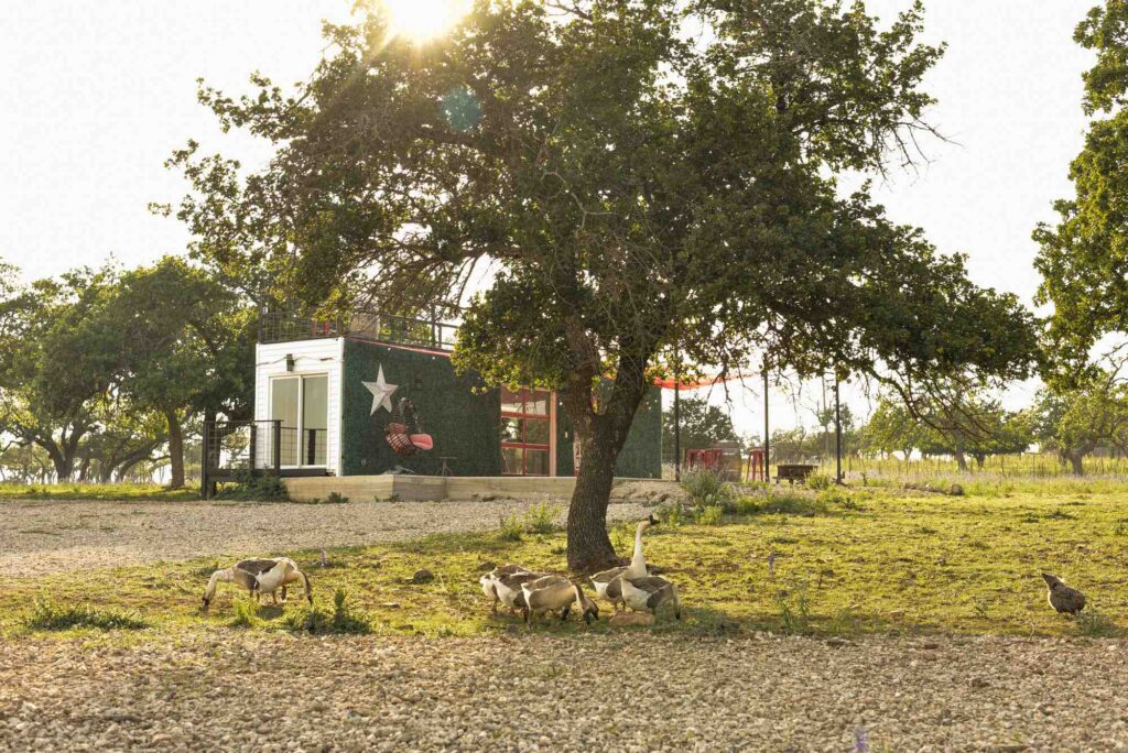 Best Motel in Fredericksburg Texas