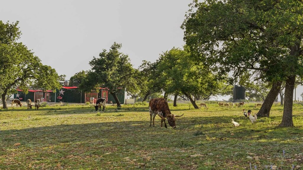 best places to stay for atmosphere in fredericksburg texas