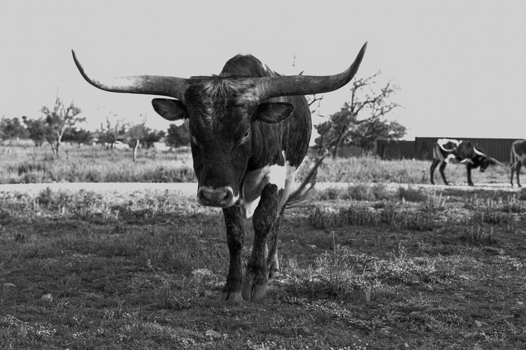 best rv parks to stay at in fredericksburg texas