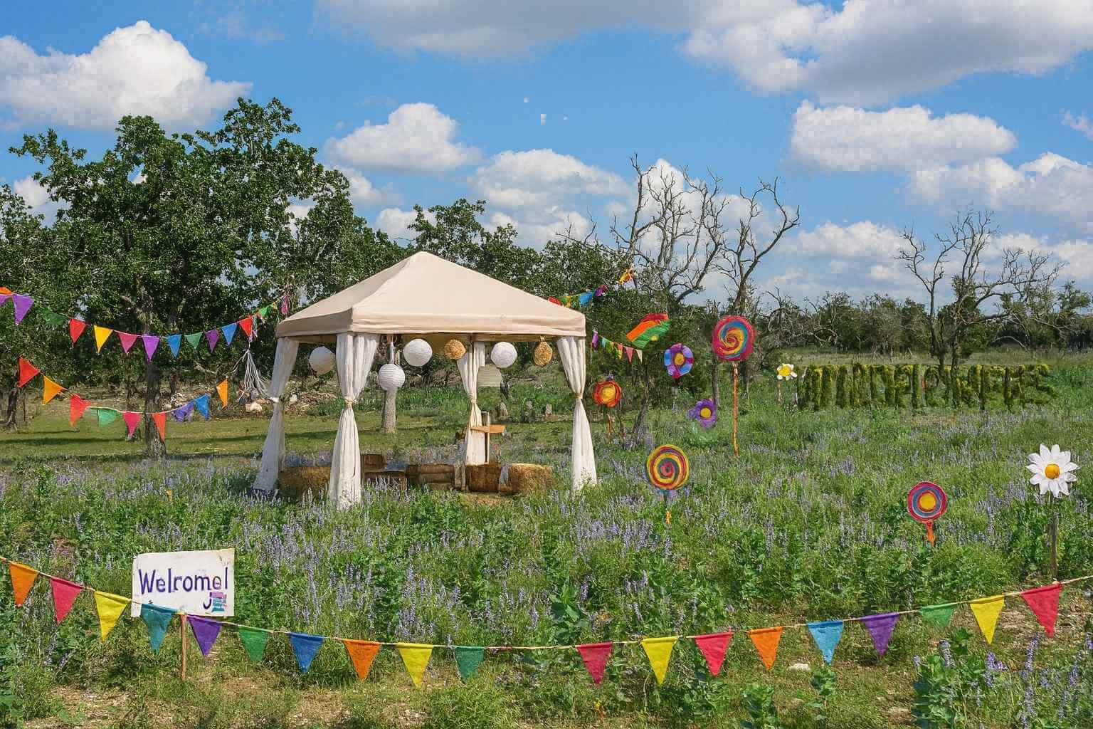 Best Bed And Breakfasts To Stay At For Wildflowers In Fredericksburg Texas Best Airbnbs to Stay at for Wildflowers in Fredericksburg Texas