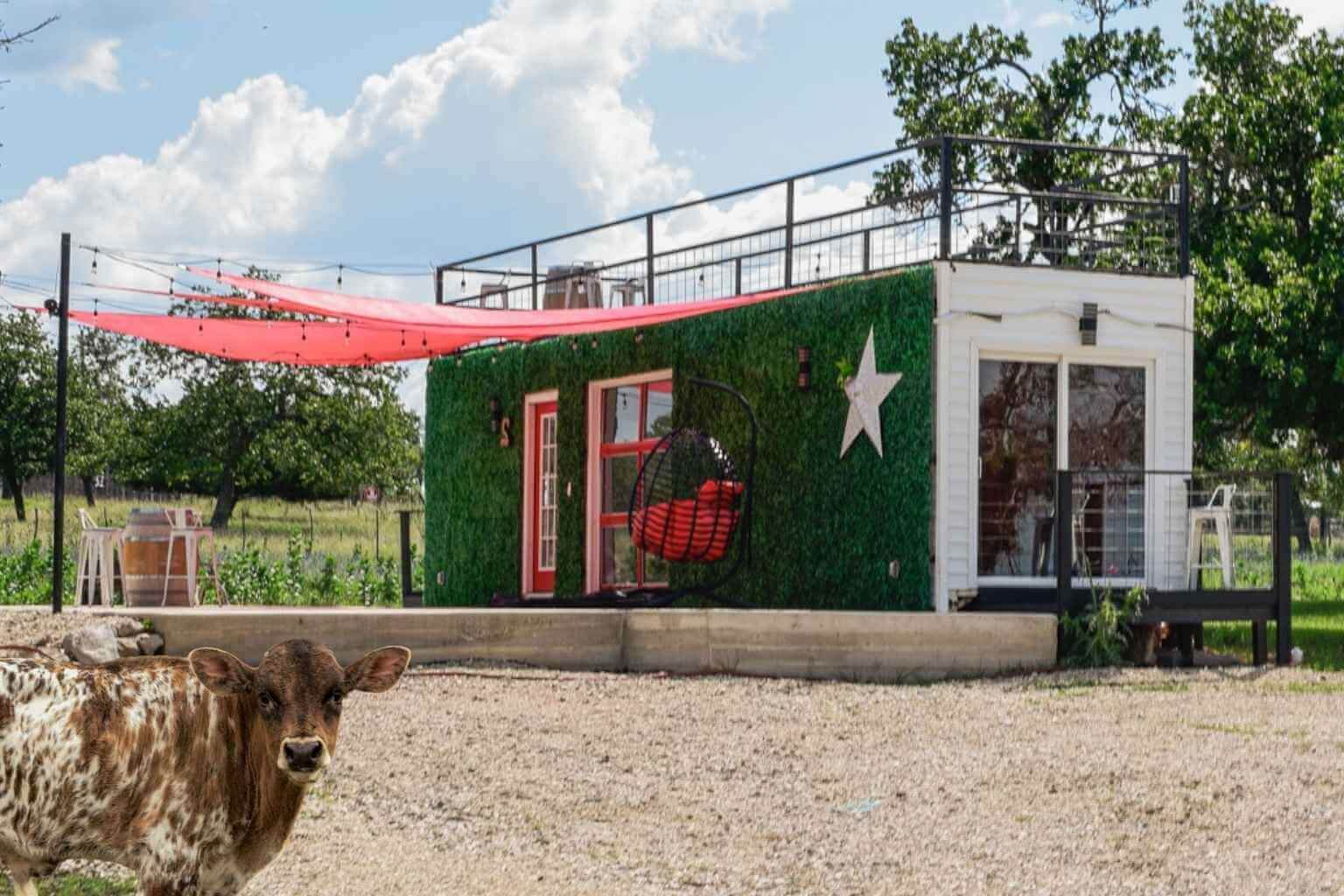 Best Airbnbs to Stay at for the Blues Festival in Luckenbach Texas
