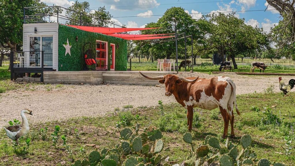 Best Places To Stay For The Light The Night Christmas Parade In Fredericksburg Texas Best Airbnbs to Stay at for the Light the Night Christmas Parade in Fredericksburg Texas