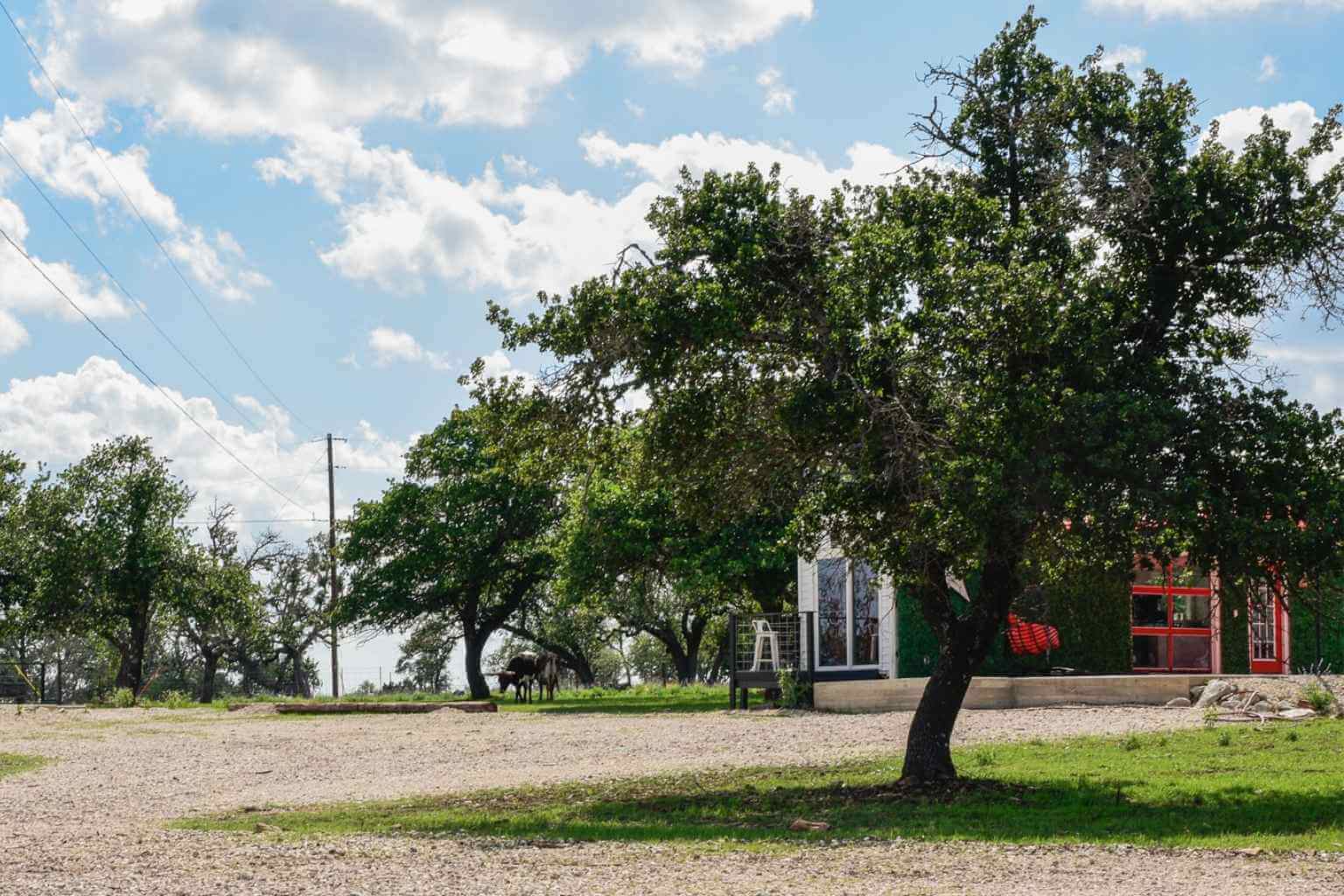 Best Places To Stay For The Music Club In Fredericksburg Texas Best Airbnbs to Stay at for the Music Club in Fredericksburg Texas