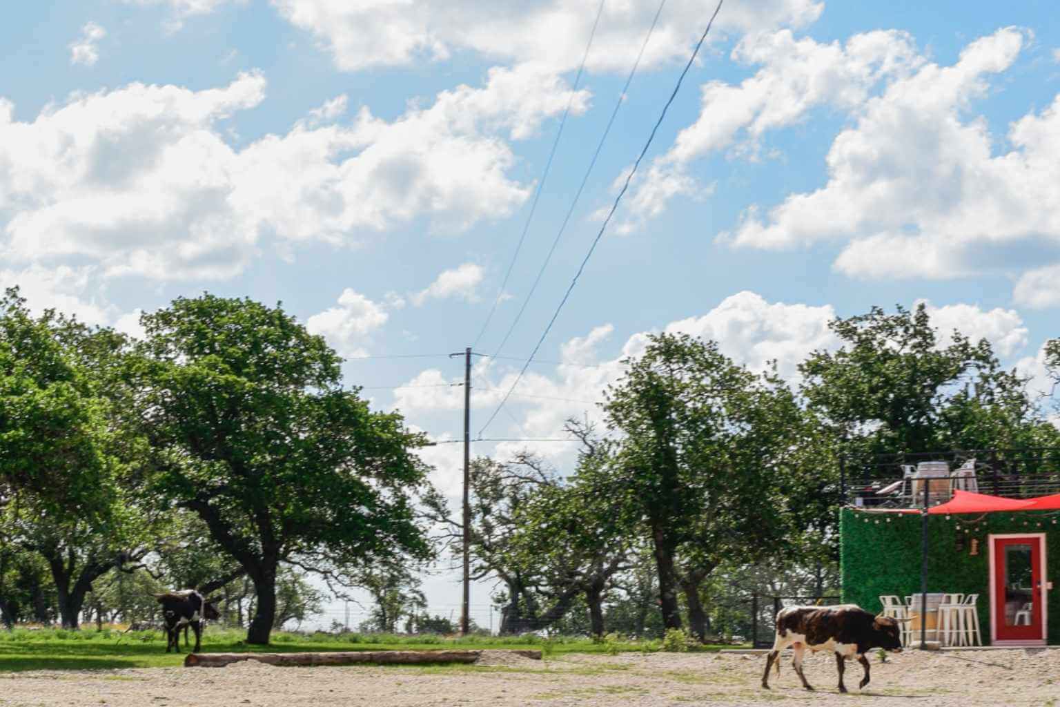 Best BNBs to Stay at for Adults in Fredericksburg Texas
