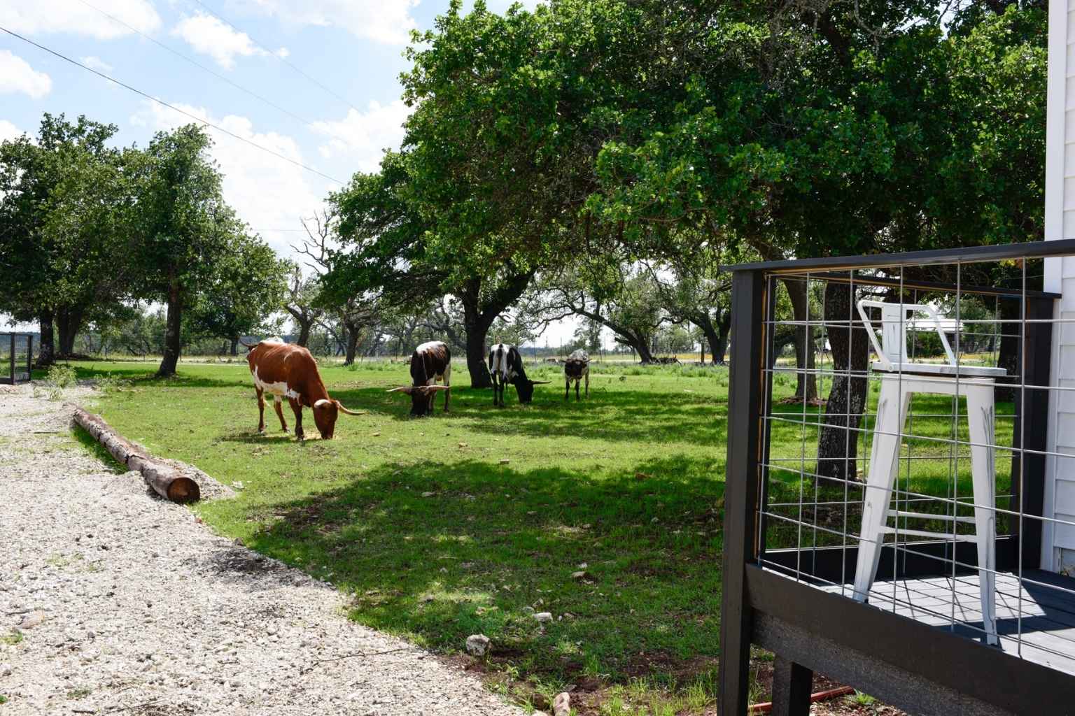 Best BNBs to Stay at for Atmosphere in Fredericksburg Texas