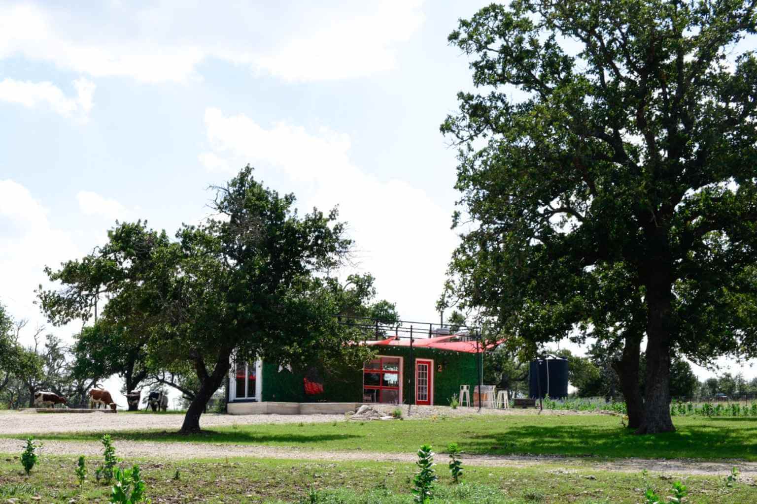 Best BNBs to Stay at for the Indian Artifact Show in Fredericksburg Texas