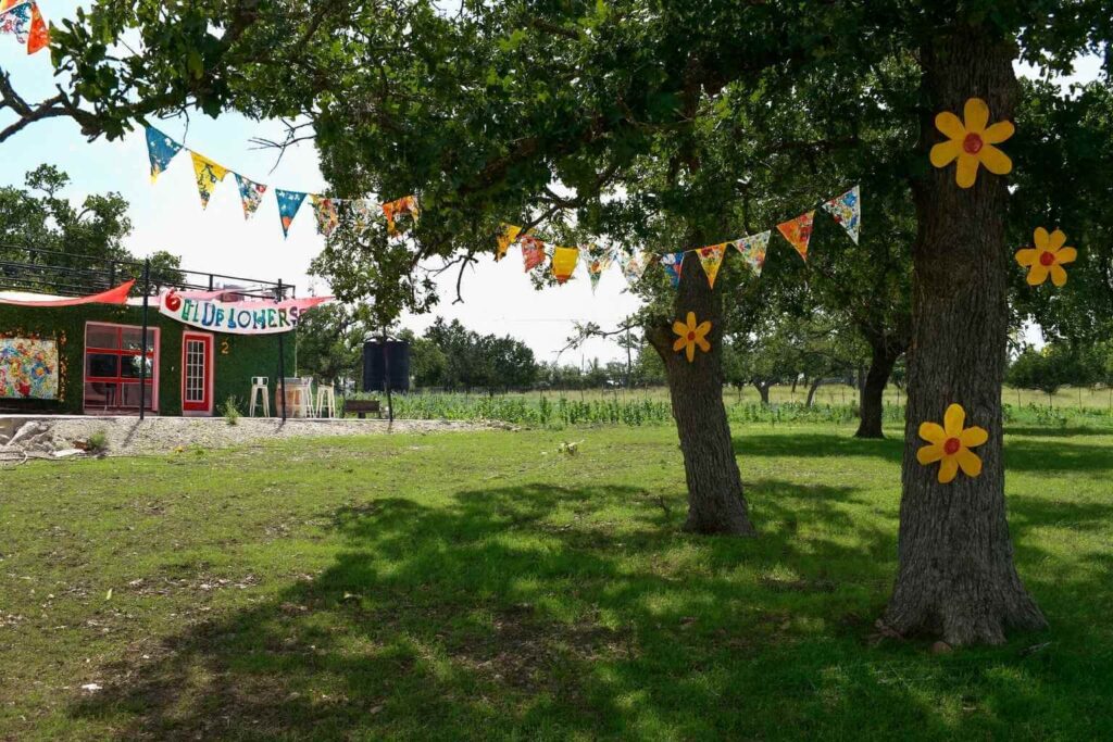 Best Bed And Breakfasts To Stay At For Wildflowers In Fredericksburg Texas