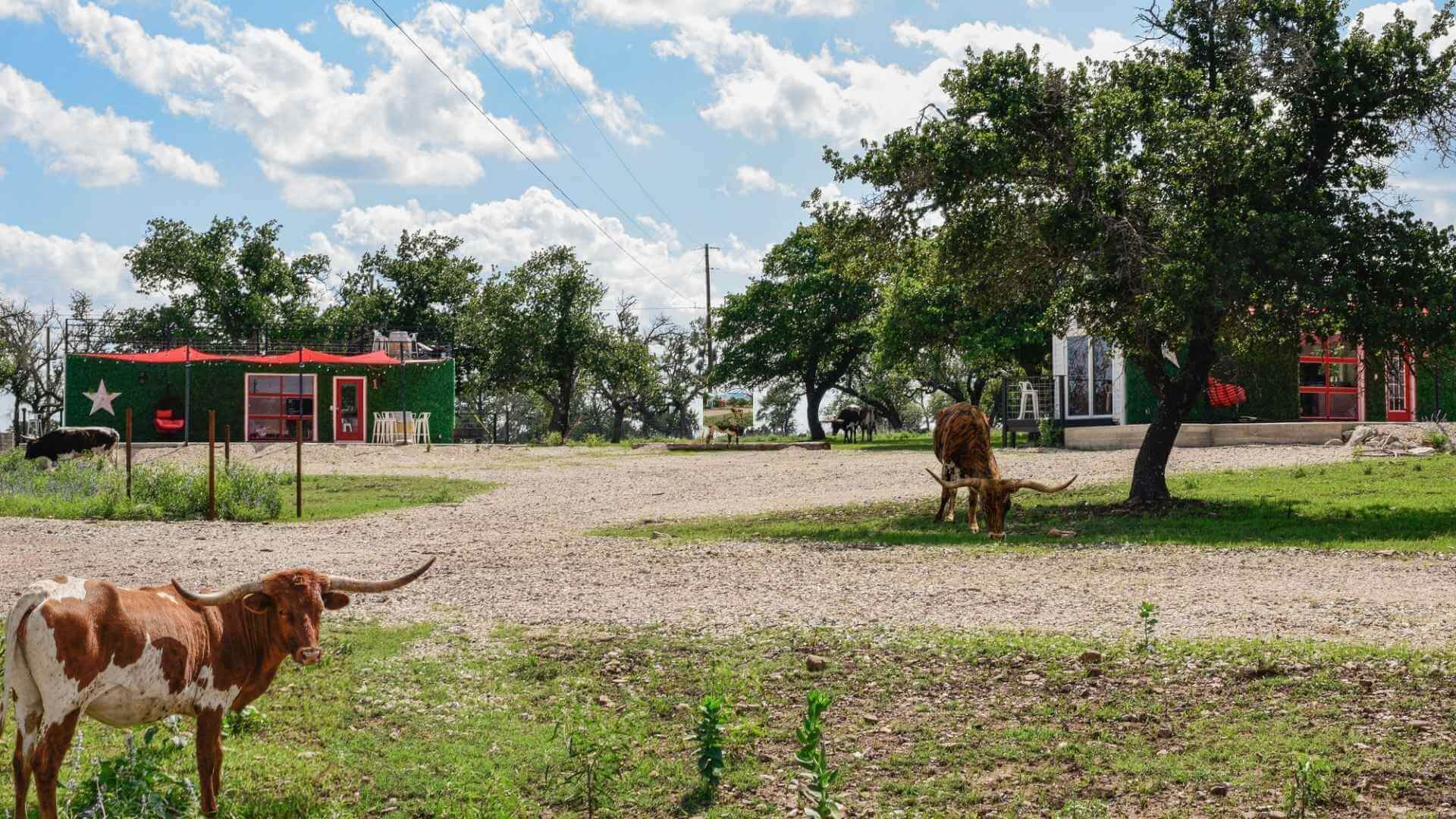 Best Bed and Breakfasts to Stay at for the Blues Festival in Luckenbach Texas
