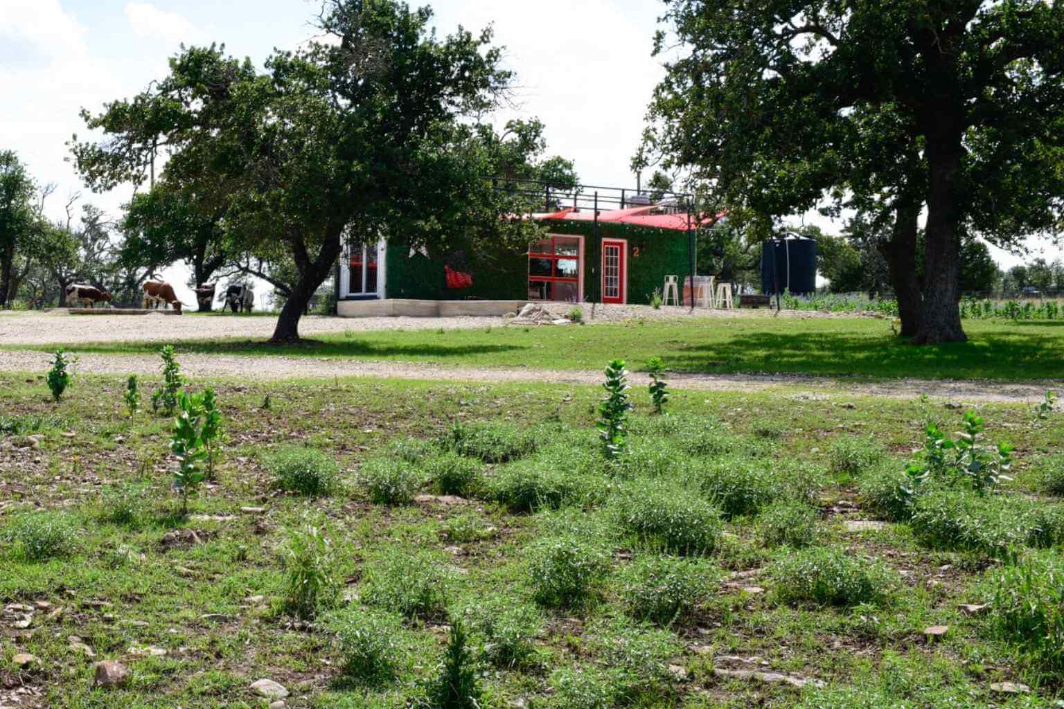 Best Bed and Breakfasts to Stay at for the Car Fest in Fredericksburg Texas