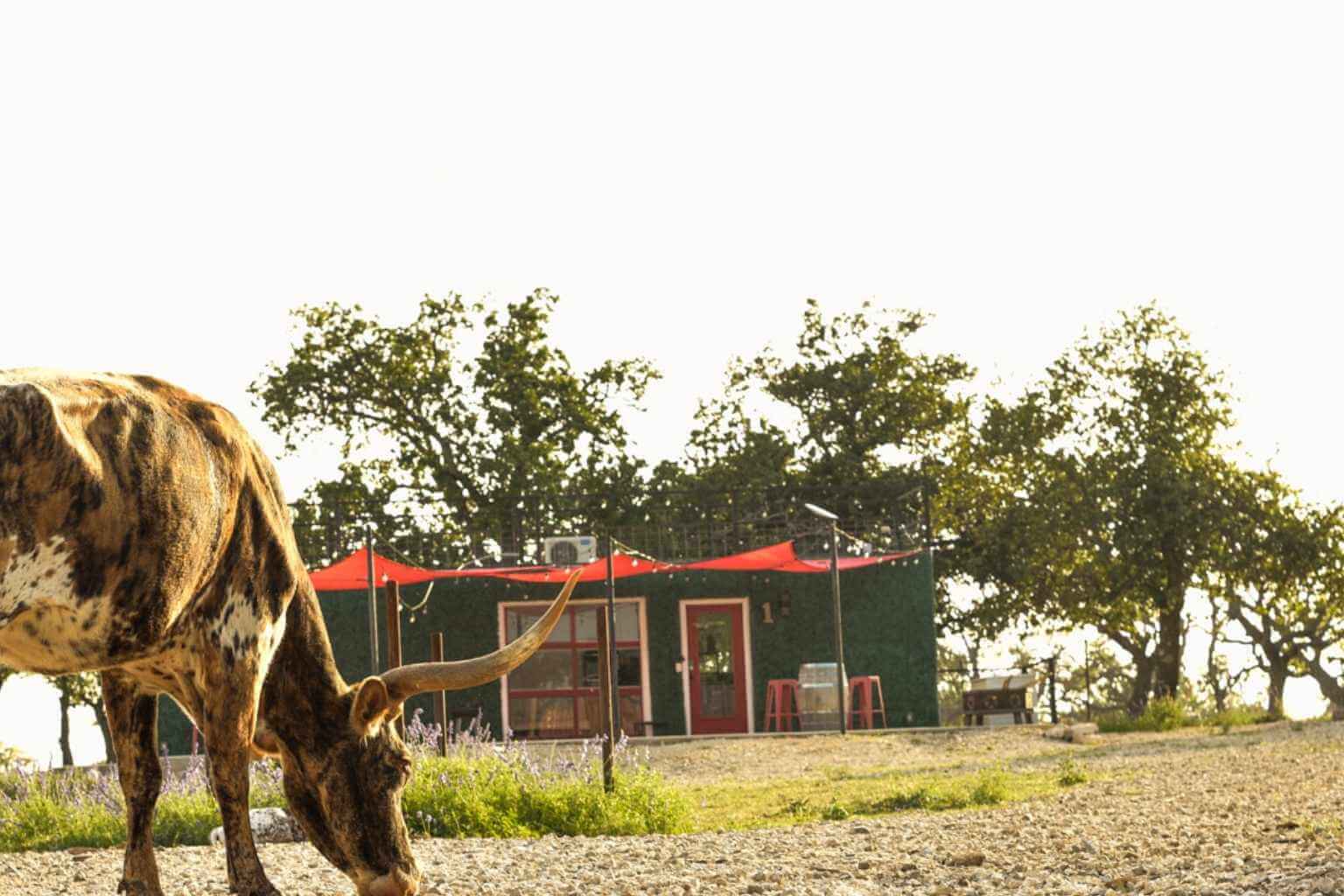 Best Bed and Breakfasts to Stay at for the Gem and Mineral Show in Fredericksburg Texas