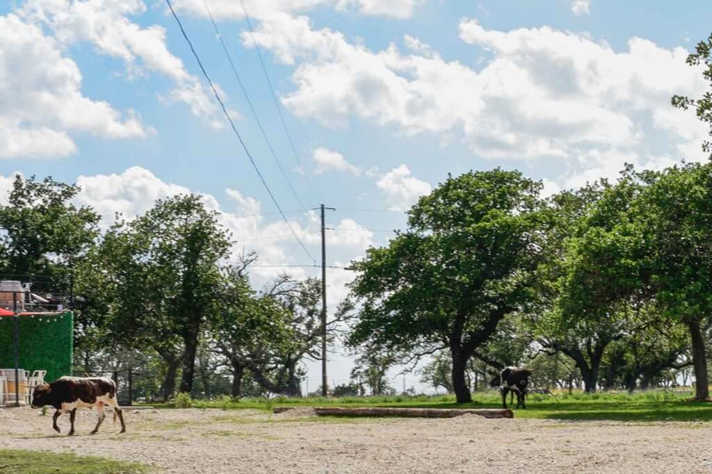 Best Bed and Breakfasts to Stay at for the Motorcycle Rally in Hill Country