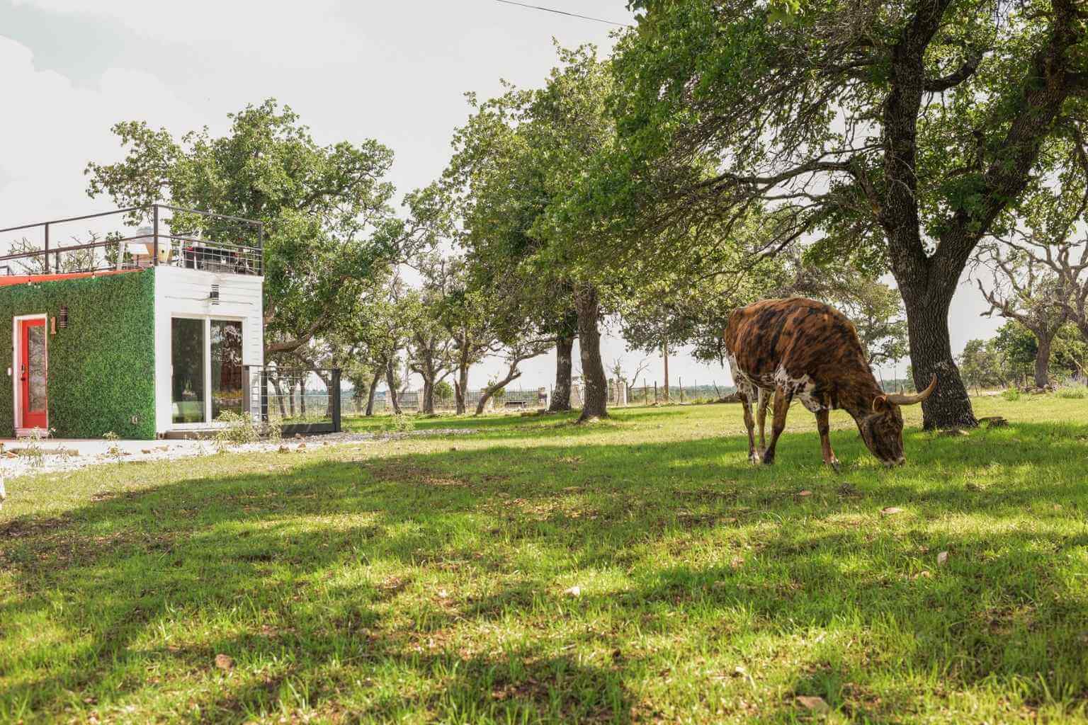 Best Hotels to Stay at for Nature in Fredericksburg Texas
