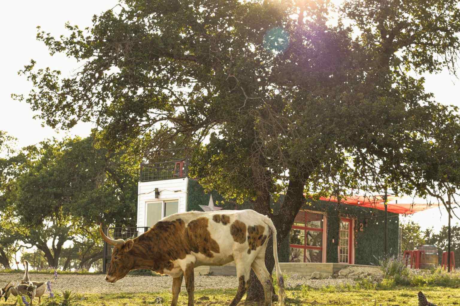 Best Hotels to Stay at for the Frontier Days Rodeo and Dance in Harper Texas