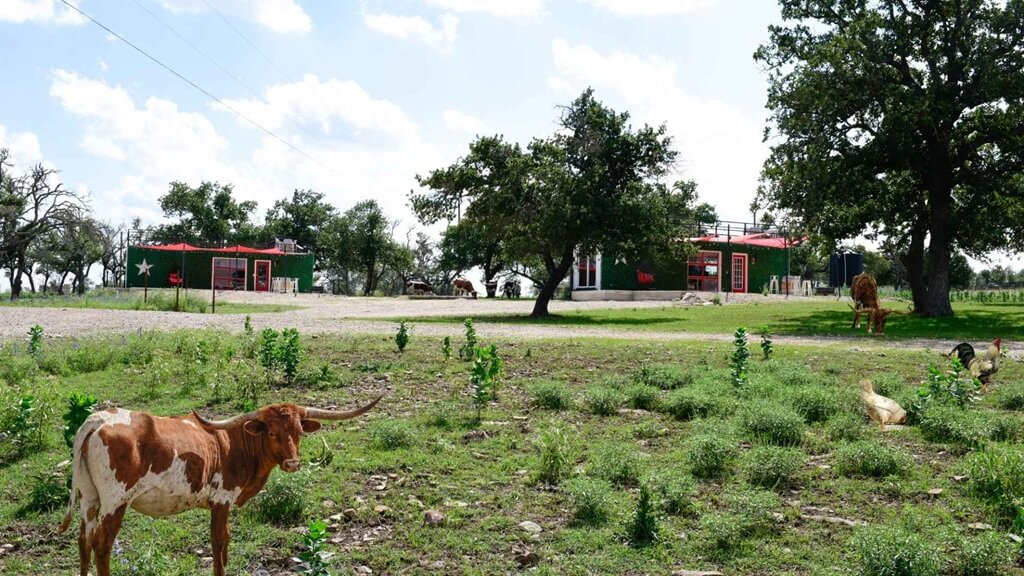 Best Places To Stay For The Texas Mesquite Arts Festival In Fredericksburg Best Hotels to Stay at for the Texas Mesquite Arts Festival in Fredericksburg